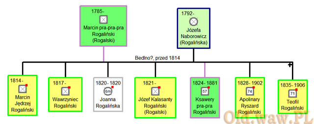 Na zielono oznaczam swoich przodków, żółtym - linie boczne, biało-szare czworokąty to zmarłe dzieci. Czerwonym punktem program oznacza istniejące zdjęcie (tu: dokumentu)
